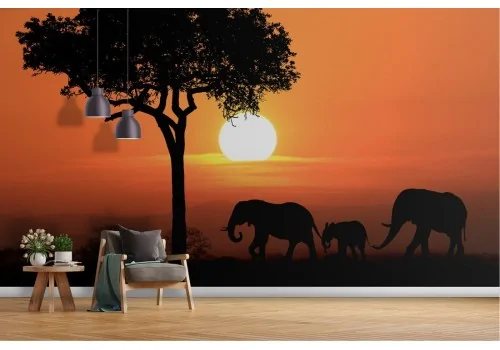 Carta da Parati elefanti animali al tramonto fotografia natura-8