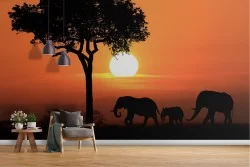 Carta da Parati elefanti animali al tramonto fotografia natura-8