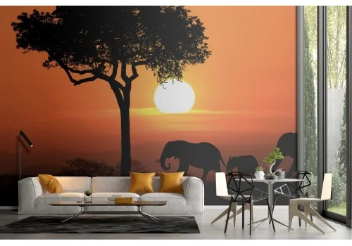 Carta da Parati elefanti animali al tramonto fotografia natura-8 2