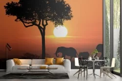 Carta da Parati elefanti animali al tramonto fotografia natura-8