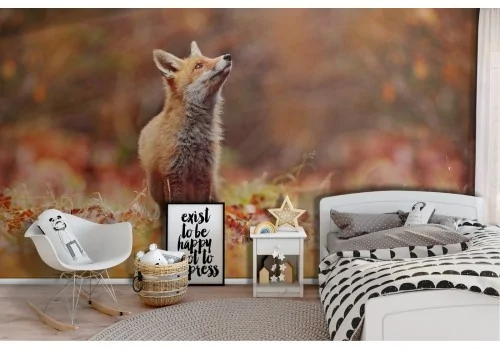 Wallpaper fox animals children forest nature-9