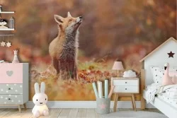 Carta da Parati volpe animali bambini bosco natura-9