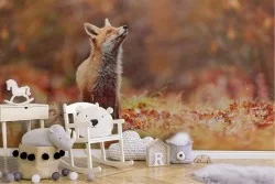 Carta da Parati Animali uccelli