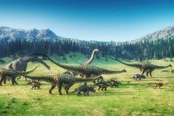 Children's Wallpaper Animals Birds Landscapes