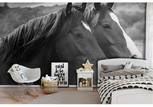 Wallpaper photography horses animals children's room-12