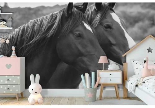 Carta da Parati fotografia cavalli animali cameretta bambini-12 2