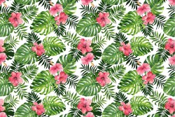 Wallpaper Design and Styles Abstract Flora and Fauna Tropical Leaves Nature Flowers
