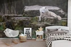 Carta da Parati lupo bianco nel bosco fotografia natura bambini-14