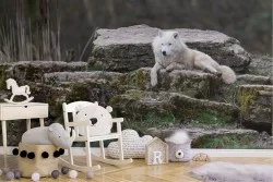 Animal Birds Wallpaper