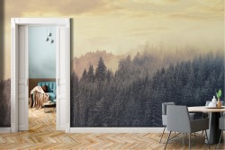 Carta da Parati Foreste e Alberi