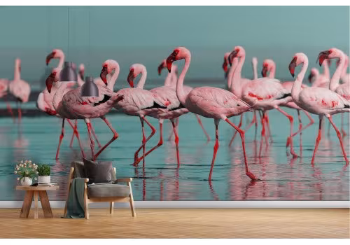 Flamingo nature tropical animals wallpaper-20