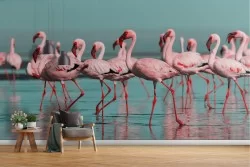Flamingo nature tropical animals wallpaper-20