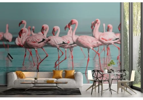 Flamingo nature tropical animals wallpaper-20 2