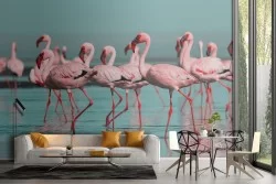 Flamingo nature tropical animals wallpaper-20