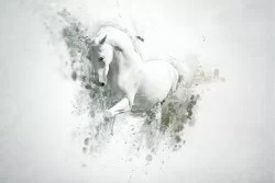 Wallpaper Design and Styles Flora and Fauna Animals Abstract Nature