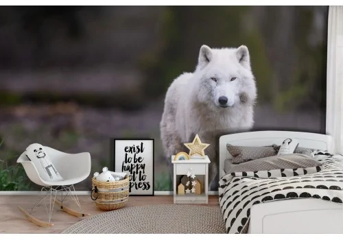 White Wolf Wallpaper Animals Nature Kids-22