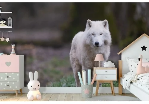 White Wolf Wallpaper Animals Nature Kids-22 2