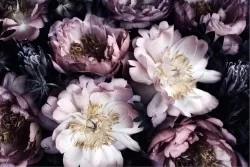 Wallpaper Design and Styles Flora and Fauna Flowers Nature Vintage