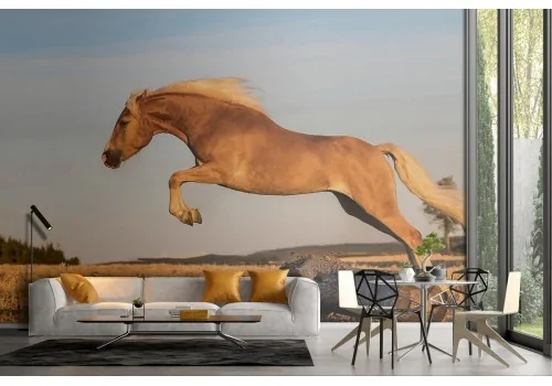 Wallpaper horse nature photography animals-28 2