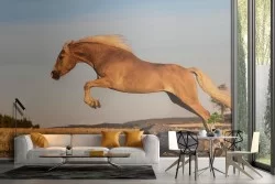 Carta da Parati cavallo natura fotografia animali-28