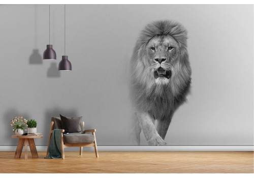 Lion wallpaper animal nature modern design-30