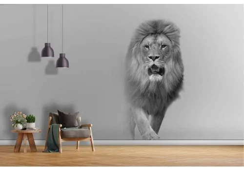 Wallpaper lion animals nature modern design-30