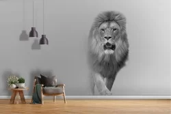 Lion wallpaper animal nature modern design-30