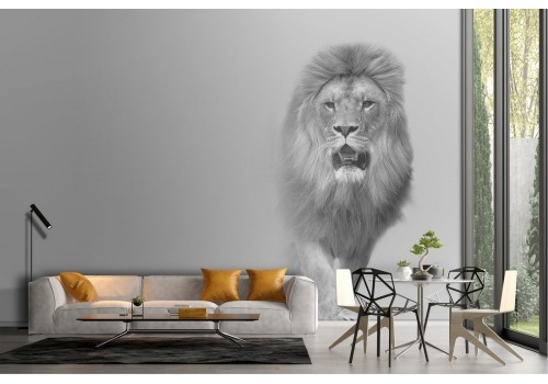 Lion wallpaper animal nature modern design-30 2
