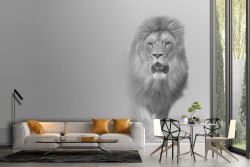 Lion wallpaper animal nature modern design-30