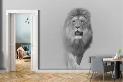 Animal Wallpaper
