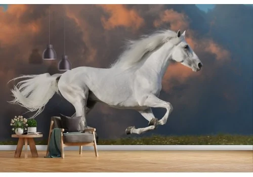 White Horse Wallpaper Nature Landscape Animals-31