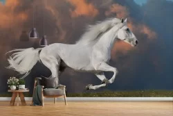 White Horse Wallpaper Nature Landscape Animals-31