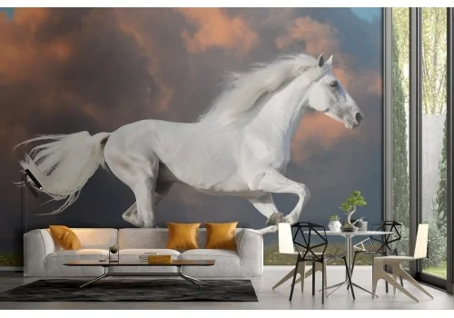 Carta da Parati cavallo bianco paesaggio natura animali-31 2