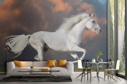 White Horse Wallpaper Nature Landscape Animals-31