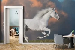 Animal Wallpaper