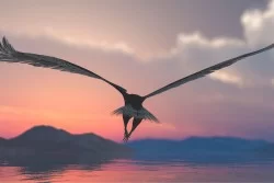 Children's Wallpaper Animals Birds