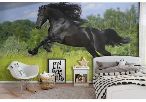 Carta da Parati cavallo nero paesaggio animali bambini-35