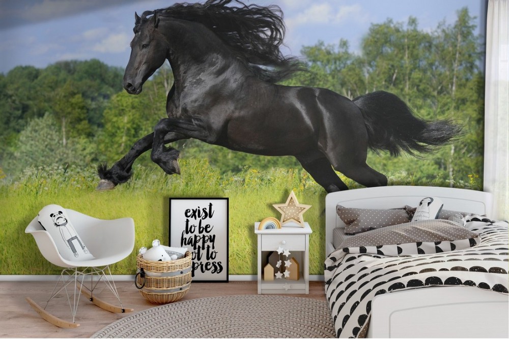 Carta da Parati cavallo nero paesaggio animali bambini-35