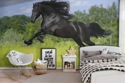 Black horse wallpaper landscape animals children-35