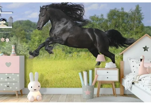 Carta da Parati cavallo nero paesaggio animali bambini-35 2