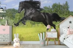 Carta da Parati cavallo nero paesaggio animali bambini-35