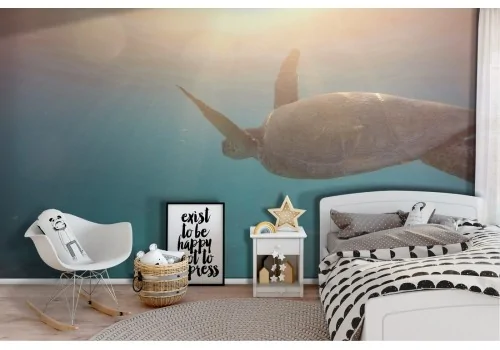 Animal Turtle Wallpaper for Children's Room-39