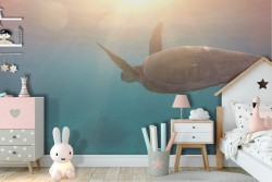 Animal Wallpaper Turtle Children's Room-39