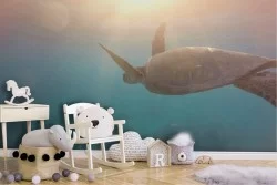 Wallpaper Animals Birds Aquatic World