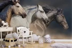 Carta da Parati Animali uccelli