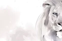 Carta da Parati Bambini Animali uccelli