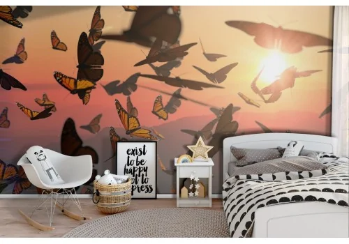 Animal Wallpaper Butterflies Children's Photography Nature-43