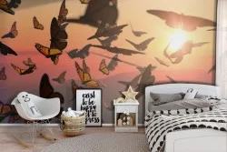 Carta da Parati animali farfalle fotografia bambini natura-43