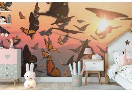 Animal Wallpaper Butterflies Children's Photography Nature-43 2