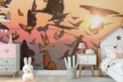 Carta da Parati animali farfalle fotografia bambini natura-43